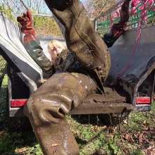 WetandMuddy: Video 110--Bull Rustling