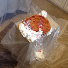 JellynCustard: Sitting on a pie!