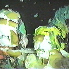 SlapstickStuff: 