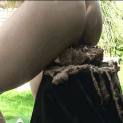 stewy18: Cake Sitting Gifs