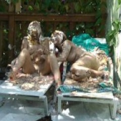Lenny: Video Sale My best work yet, 2 hot ladies & over 30 pies
