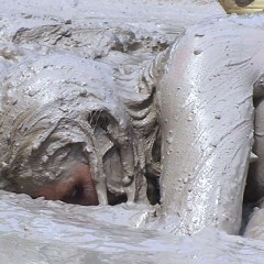 FOXY: Video very muddy - Final