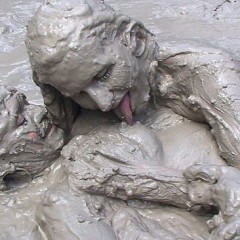 FOXY: Video very muddy - Final