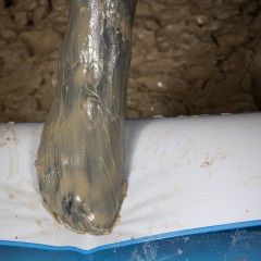 CandyCustard: Sessions update & free PVC muddy set!