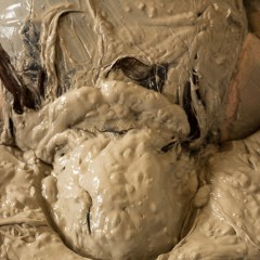 CandyCustard: Sessions update & free PVC muddy set!