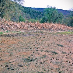 GungeMonkey: Muddy In Great Barrington or Sheffield anyone?