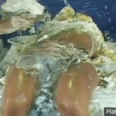hornymessyboy: gifs I made