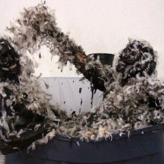 Messygirl: Pics from 3 new Messygirl Downloads