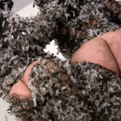 Messygirl: Pics from 3 new Messygirl Downloads