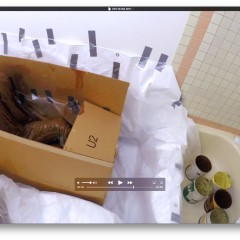 watcher8: added some more pics, wam in a box