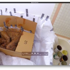 watcher8: added some more pics, wam in a box