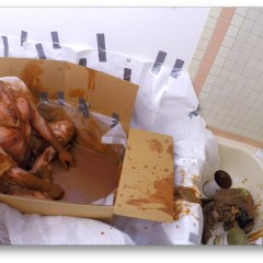 watcher8: added some more pics, wam in a box