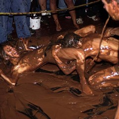 Plonk: A little girl-on-girl pudding wrestling from the vaults.