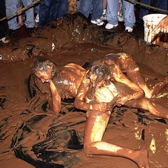 Plonk: A little girl-on-girl pudding wrestling from the vaults.