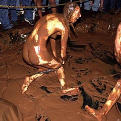 Plonk: A little girl-on-girl pudding wrestling from the vaults.