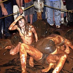 Plonk: A little girl-on-girl pudding wrestling from the vaults.