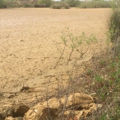 Dan Suffolk: Essex mud