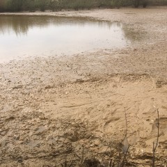 Dan Suffolk: Essex mud