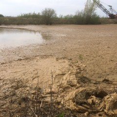 Dan Suffolk: Essex mud