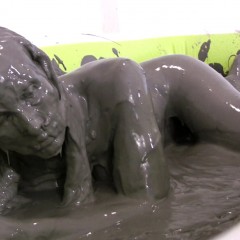 Messygirl: Pics from a new Messygirl Download