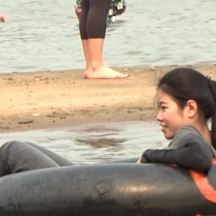 Wetlookthailandnet: Page Update on