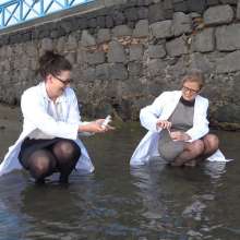LisaMoomin: Marine Biologists Megan And Louise.