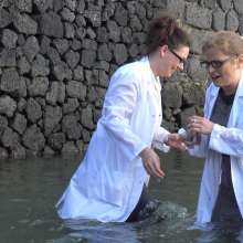 LisaMoomin: Marine Biologists Megan And Louise.