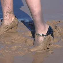 LisaMoomin: 2 Great Mud Updates!