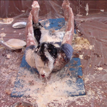 hooliham: Surprise!  It's Episode 18: Messy Yoga!