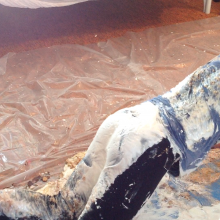 hooliham: Surprise!  It's Episode 18: Messy Yoga!