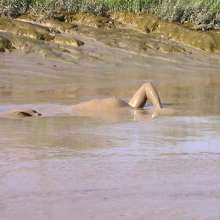 FOXY: New video Ayako in deep mud
