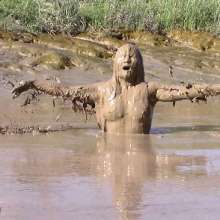 FOXY: New video Ayako in deep mud