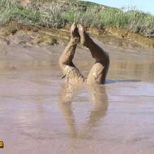 FOXY: New video Ayako in deep mud