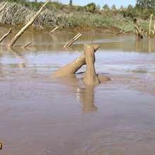 FOXY: New video Ayako in deep mud