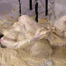 Messygirl: The Unusual Modeling Gig