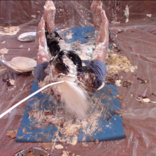 hooliham: Surprise!  It's Episode 18: Messy Yoga!