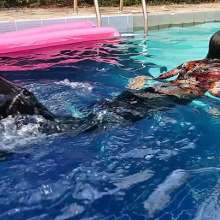 WAM Photography: WAM Photography--Elaines wetlook premier