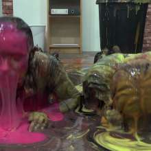 MostWam: Gunge Wipe Training Bobi