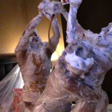 Messygirl: Our Vegas Videos!