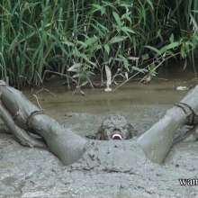 Jayce: half price mud scenes, get them for your collection!