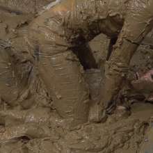 MostWam: Casual Mud Wrestling 01 Amber And Rhian