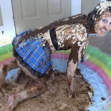 MessyMissMarie: Only Wanted some Pudding