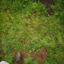jamcustard22: Muddy walk