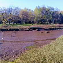 Clifford Anderton: Mud Play in Boston