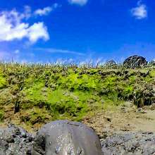 Clifford Anderton: New Mud Fun Right in Boston