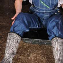 DungeonMasterOne: Hose of Trickling: Lucia and Honeysuckle play our wet tray sitting game!