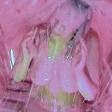 bosunbob: Stunning Jamie Jones and gorgeous gunge virgin Sarah play brq