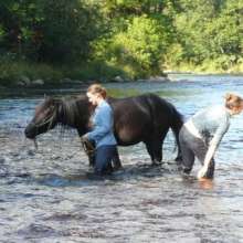 Perfectwetlook: Two Girls with the Horse