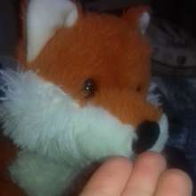 Fuzzy95: 