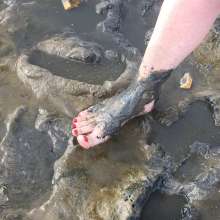 D.M.Z.: Gorgeous red toes in beach mud!